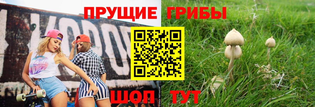 Медногорск  Псилоцибиновые грибы мицелий  Галлюциногенные грибы GOLDEN TEACHER  Вход с VPN 